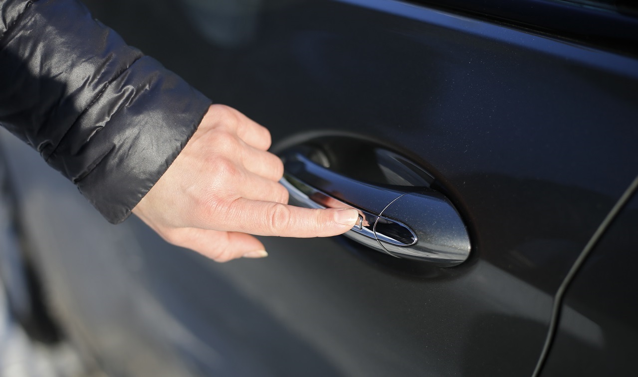 Door Handles